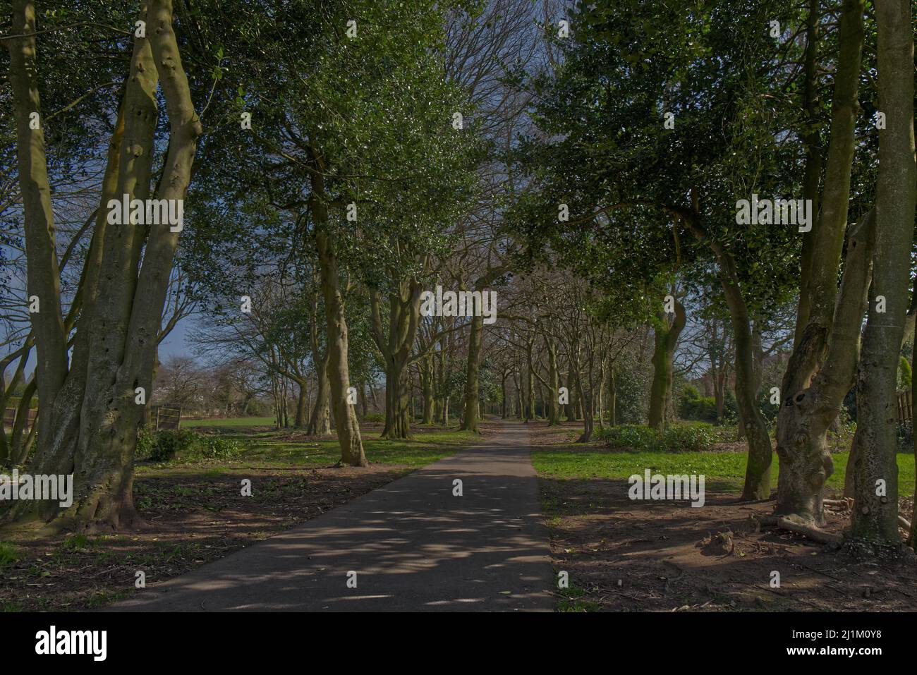 Bilder von Newcastle-under-Lyme in Staffordshire, einschließlich der Seabridge School im Stadtzentrum, der Geschäfte und der guildhall und des Büros von Aaron Bell MP Stockfoto