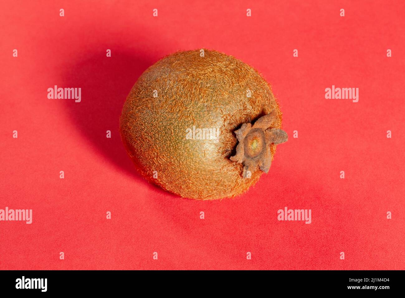 Ein Kiwi auf rotem Hintergrund Stockfoto
