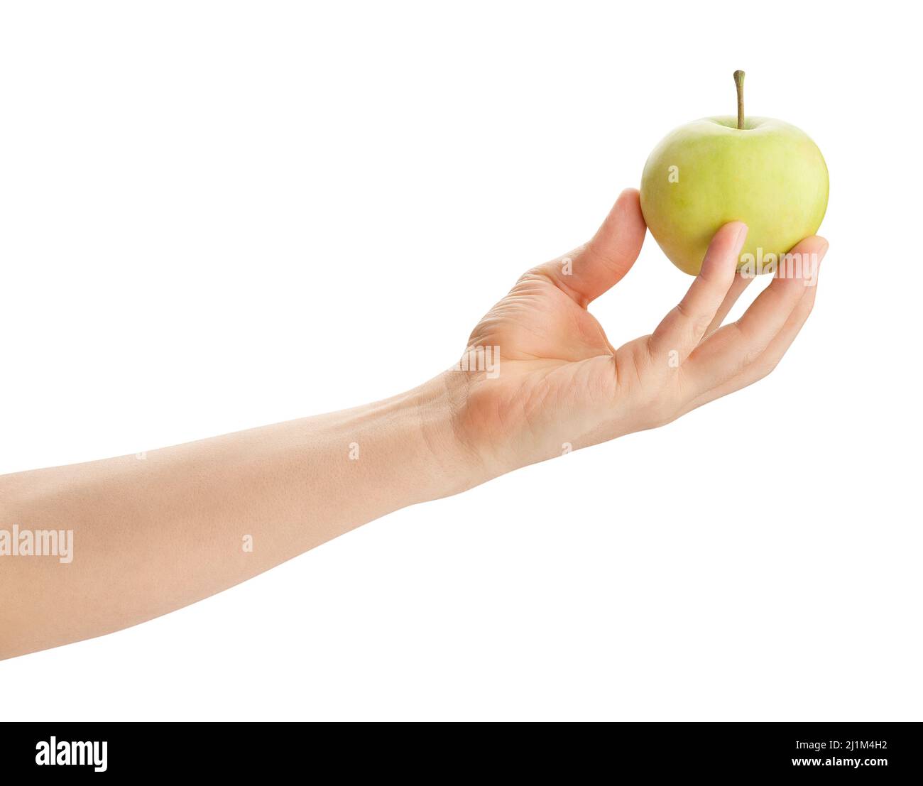 Weißer Apfel im Handweg isoliert auf weiß Stockfoto