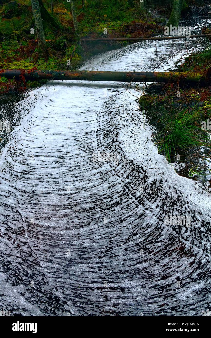 Waldwunder. Der ruhige Waldbach ist mit einem gerippten Kreuzmuster aus Schaum bedeckt, Wasserstraße wie eine weiße Straße. Northland Urwald, Bosom Stockfoto