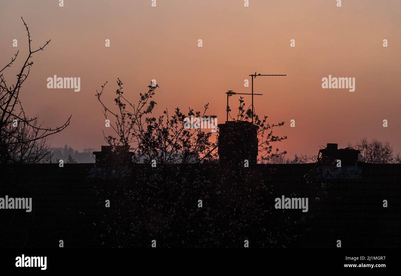 Morning Golden Hour, London, England, Großbritannien. Stockfoto