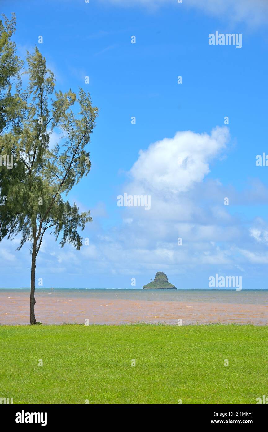 Ein malerischer Strand der Kaneohe Bay mit der Insel Kapapa, Oahu HI Stockfoto