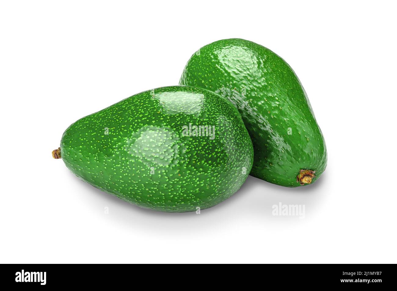 Zwei Avocados isoliert auf weißem Hintergrund mit Schatten. Frische reife tropische Frucht Avocado. Sauber ohne Staub. Avocado-Makroaufnahmen im Studio Stockfoto