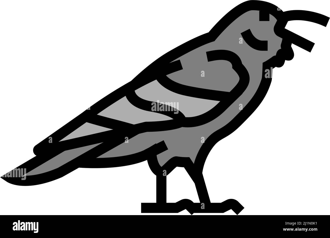 rabenvögel Farbe Symbol Vektor Illustration Stock Vektor