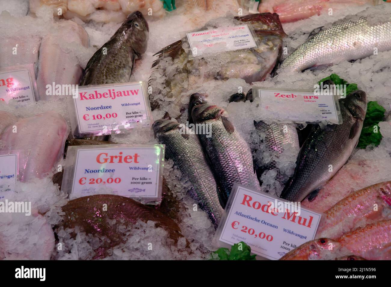 Verkauf Gestreifte Rote Mullet Auf Dem Albert Cuypmarkt In Amsterdam, Niederlande 25-3-2022 Stockfoto
