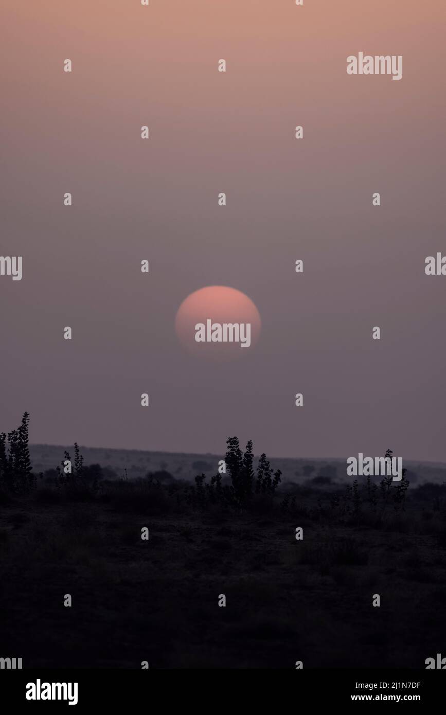 Sunset, Sam Desert, Thar Desert, Horizon, Desert National Park, Jaisalmer, Rajasthan, Indien Stockfoto