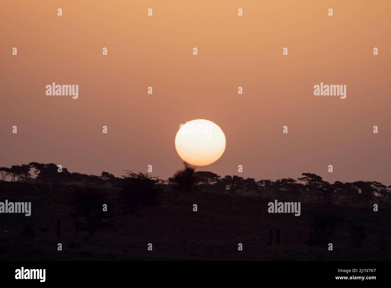 Sunset, Sam Desert, Thar Desert, Horizon, Desert National Park, Jaisalmer, Rajasthan, Indien Stockfoto