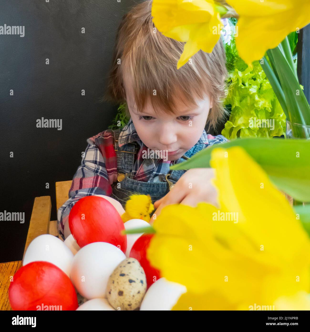 Junge spielt mit bemalten Eiern in der Küche Stockfoto