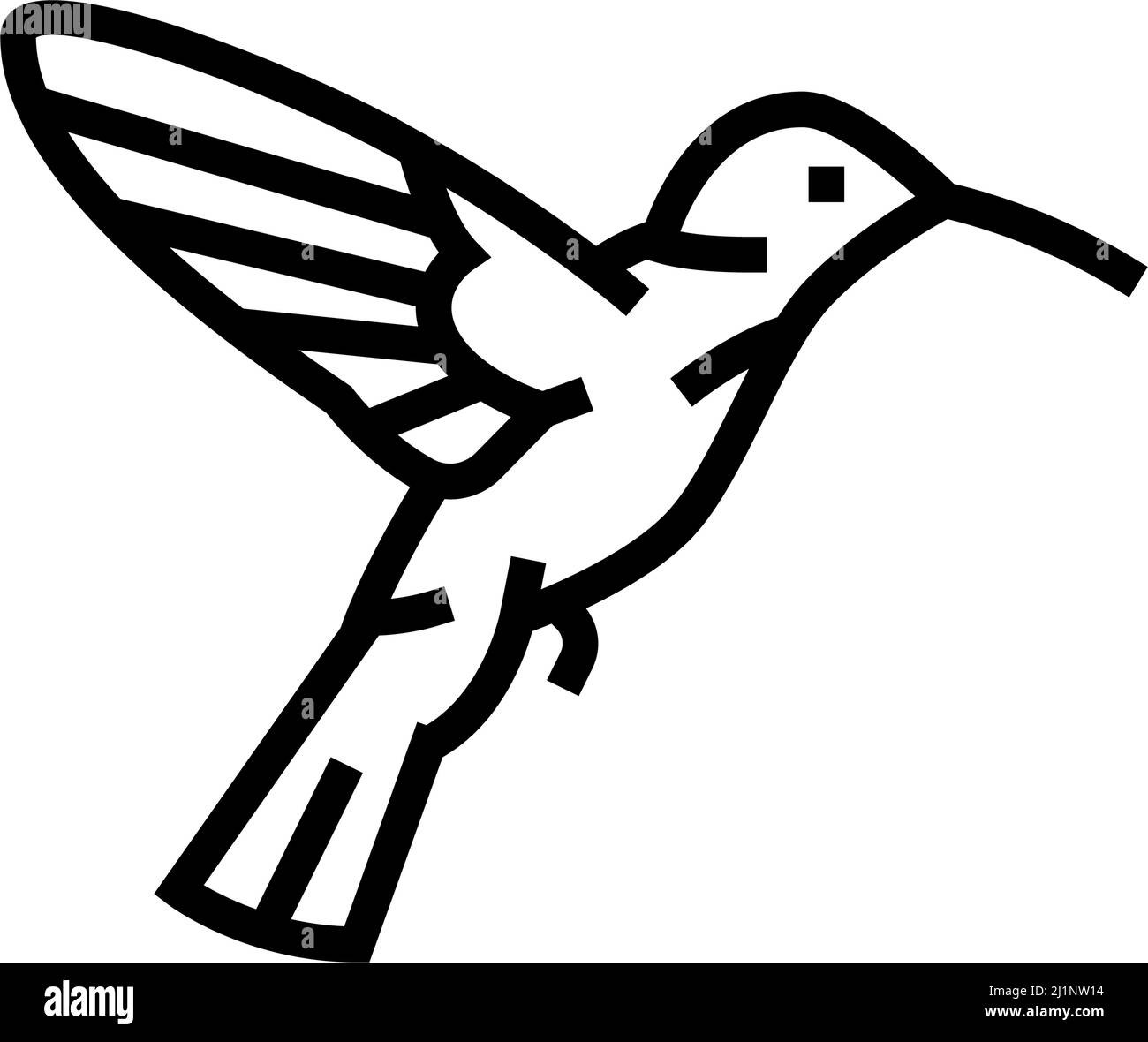colibri Vogel Linie Symbol Vektor-Illustration Stock Vektor