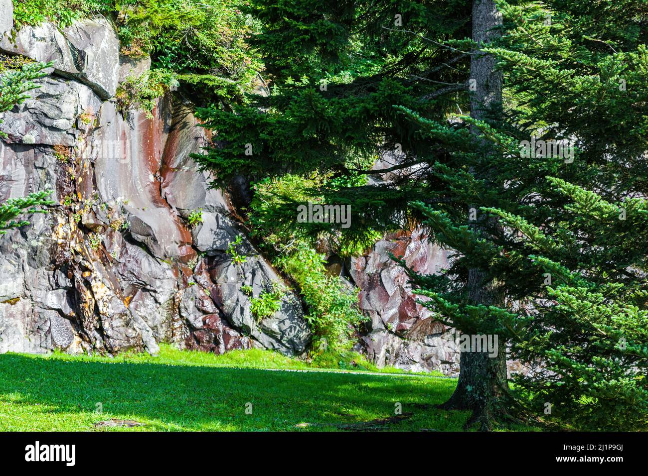 Southern Highlands Landschaft im Great Smoky Mountains NP Stockfoto