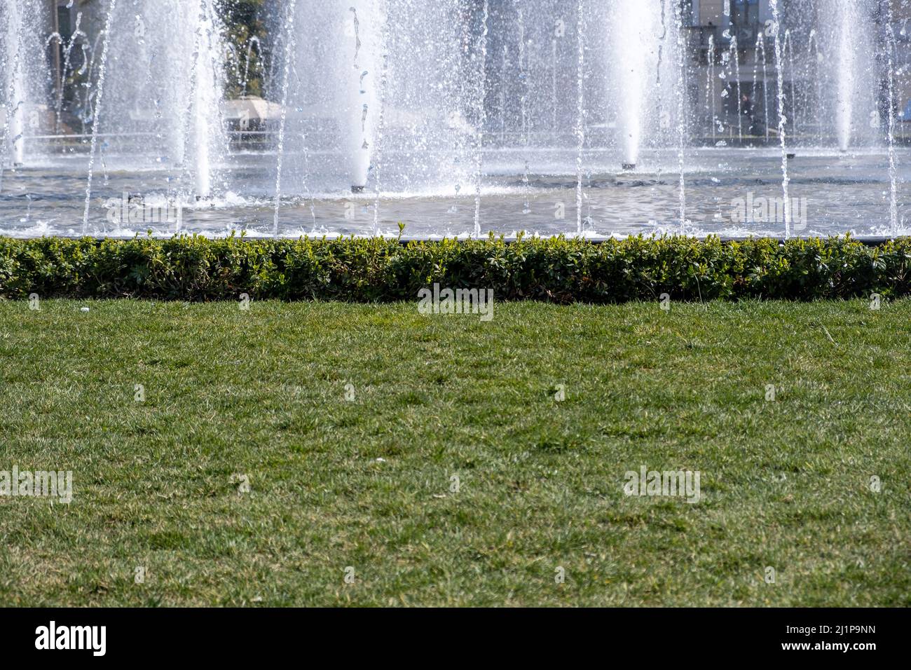 Brunnen im Stadtzentrum. Wasserstrahlen schmücken einen runden Stadtplatz, einen kleinen Teich und Gras, sonnige Tage, Nahaufnahme Stockfoto