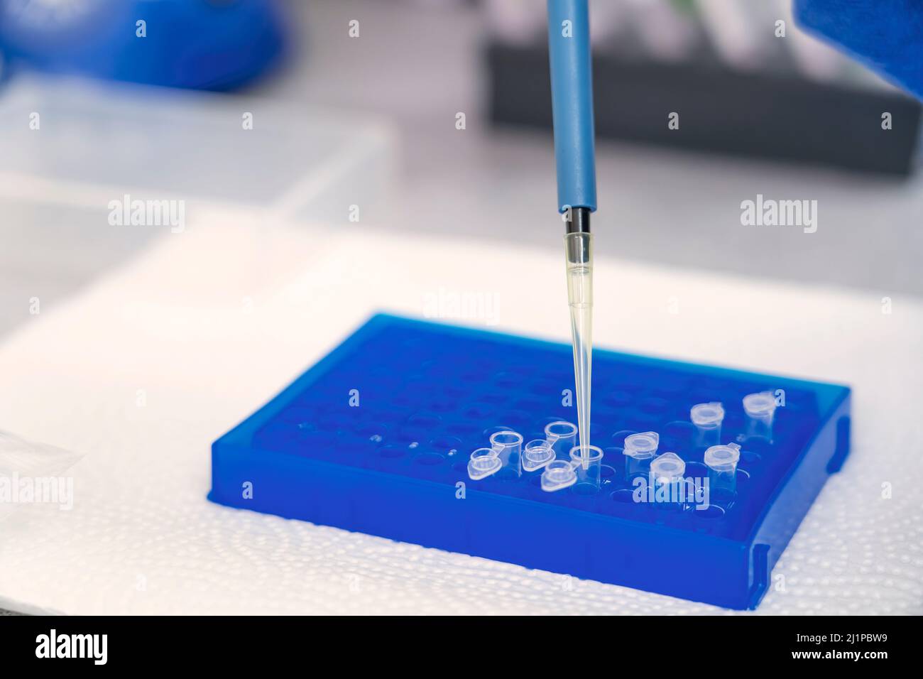 Hand im Labor Mikropipetten zur Verdrängung von Luft, die ein farbloses Reaktionsrohr füllen. Stockfoto
