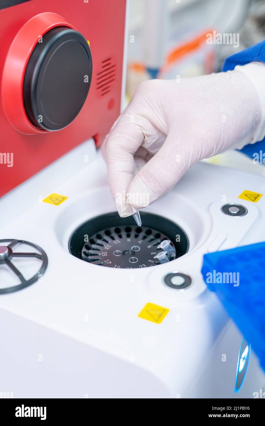 Medizinische Laborwissenschaftler in der Arbeit mit PCR-Testgeräten enthalten farbloses Reaktionsgefäß. Stockfoto