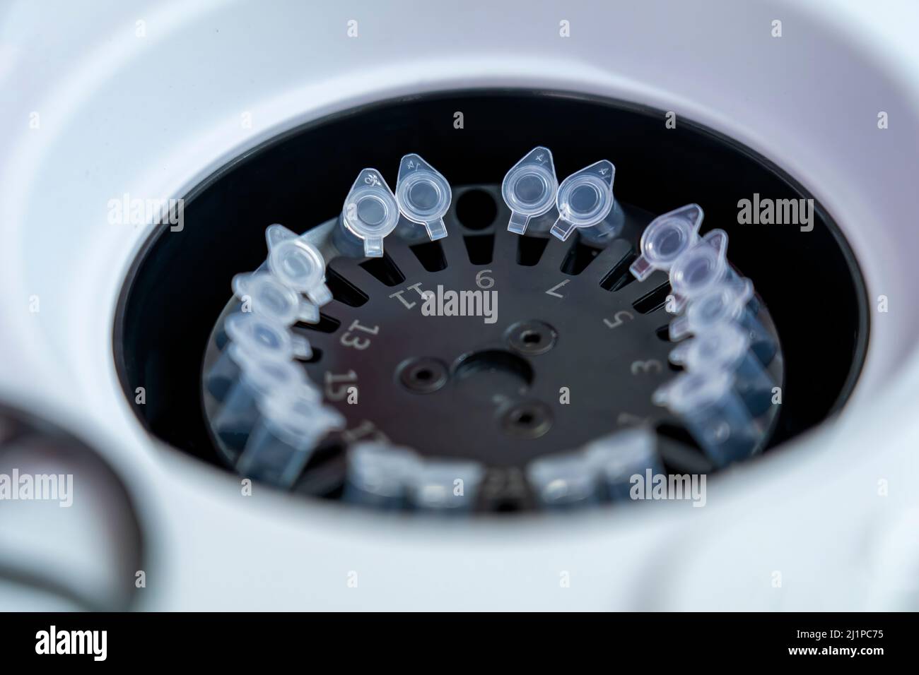 PCR-Testgeräte enthalten farbloses Reaktionsgefäß aus Polypropylen mit einem eng anliegenden Deckel Stockfoto