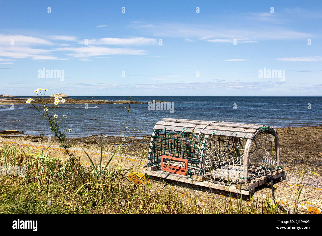 Hummerfalle am Rande des St-Lawrence-Flusses, Quebec, Kanada Stockfoto