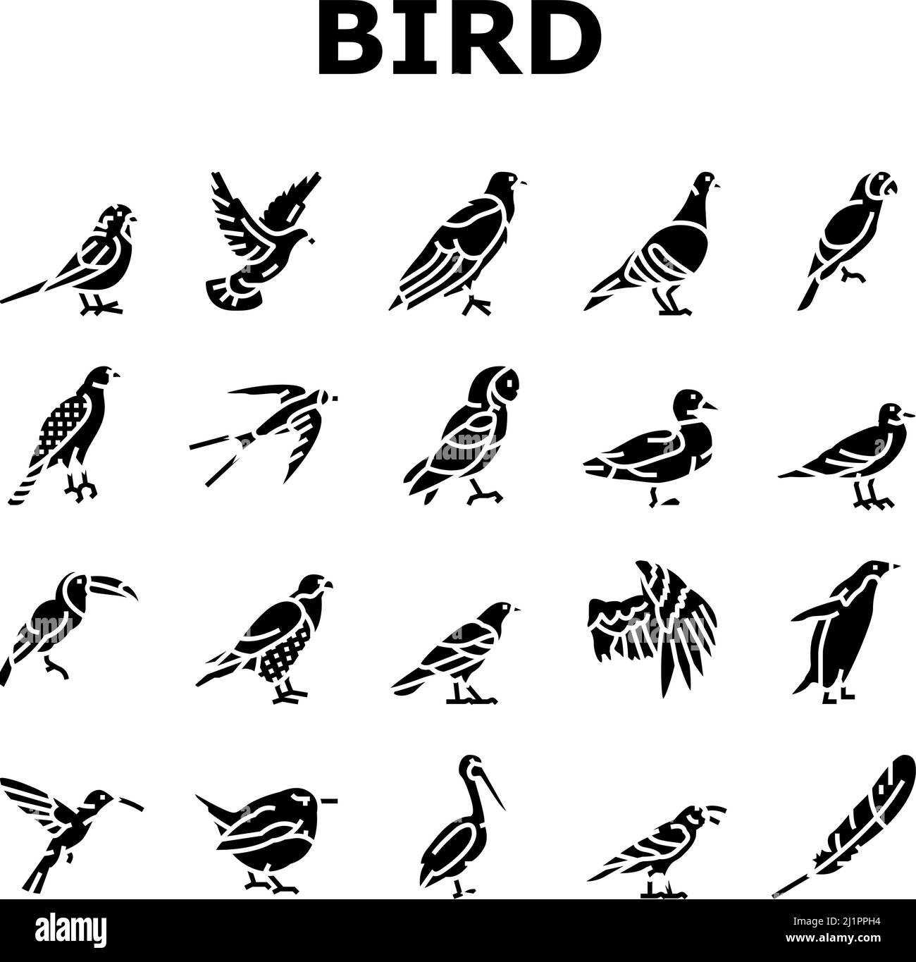 Vogel Fliegendes Tier Mit Feder Symbole Set Vektor Stock Vektor