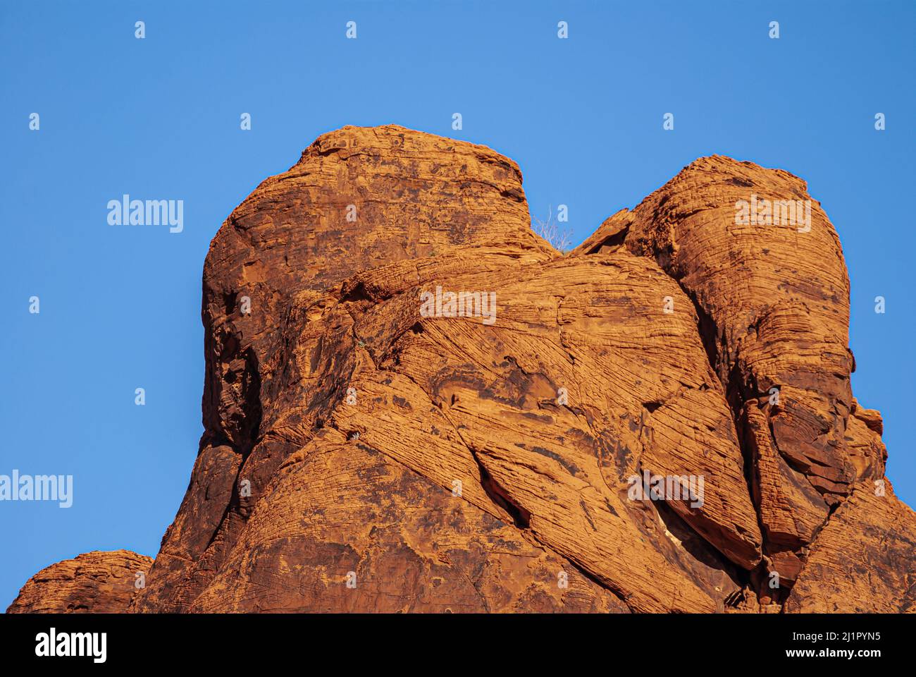 Overton, Nevada, USA - 11. Dezember 2010: Valley of Fire. Nahaufnahme eines rotbraunen verschleierten Kopfes, der unter blauem Himmel zusammengehalten wird. Stockfoto