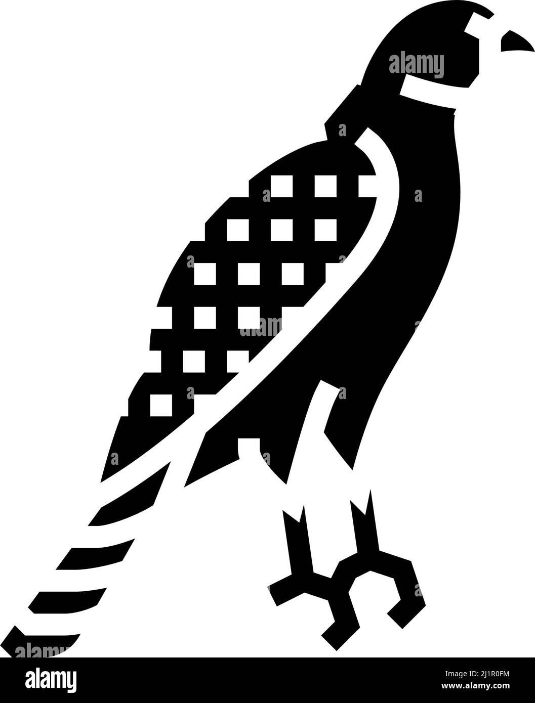 Abbildung des Symbols „hawk Bird Glyph“ Stock Vektor