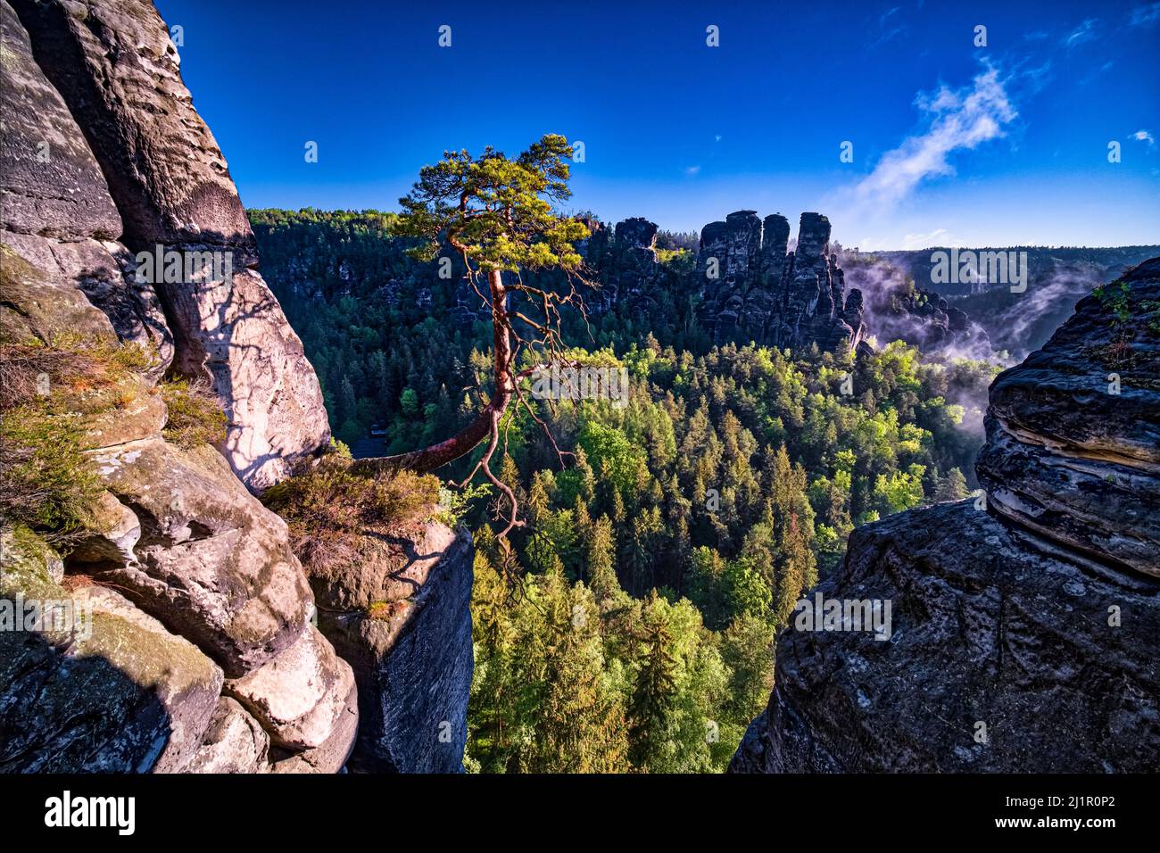 Landschaft mit Felsformationen und dem Gipfel Hintere Gans im Rathen-Gebiet des Nationalparks Sächsische Schweiz bei Sonnenaufgang. Stockfoto
