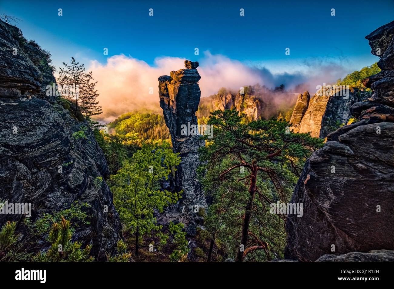 Landschaft mit Felsformationen und dem Gipfel Wehlnadel im Rathen-Gebiet des Nationalparks Sächsische Schweiz bei Sonnenaufgang. Stockfoto