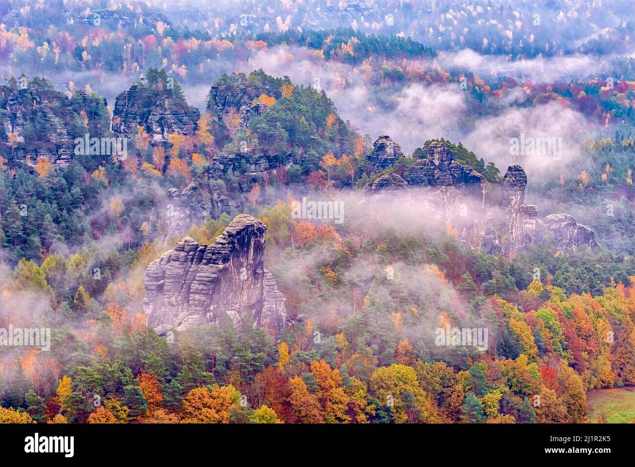 Landschaft mit Felsformationen und bunten, nebelbedeckten Bäumen im Herbst im Rathen-Gebiet des Nationalparks Sächsische Schweiz. Stockfoto