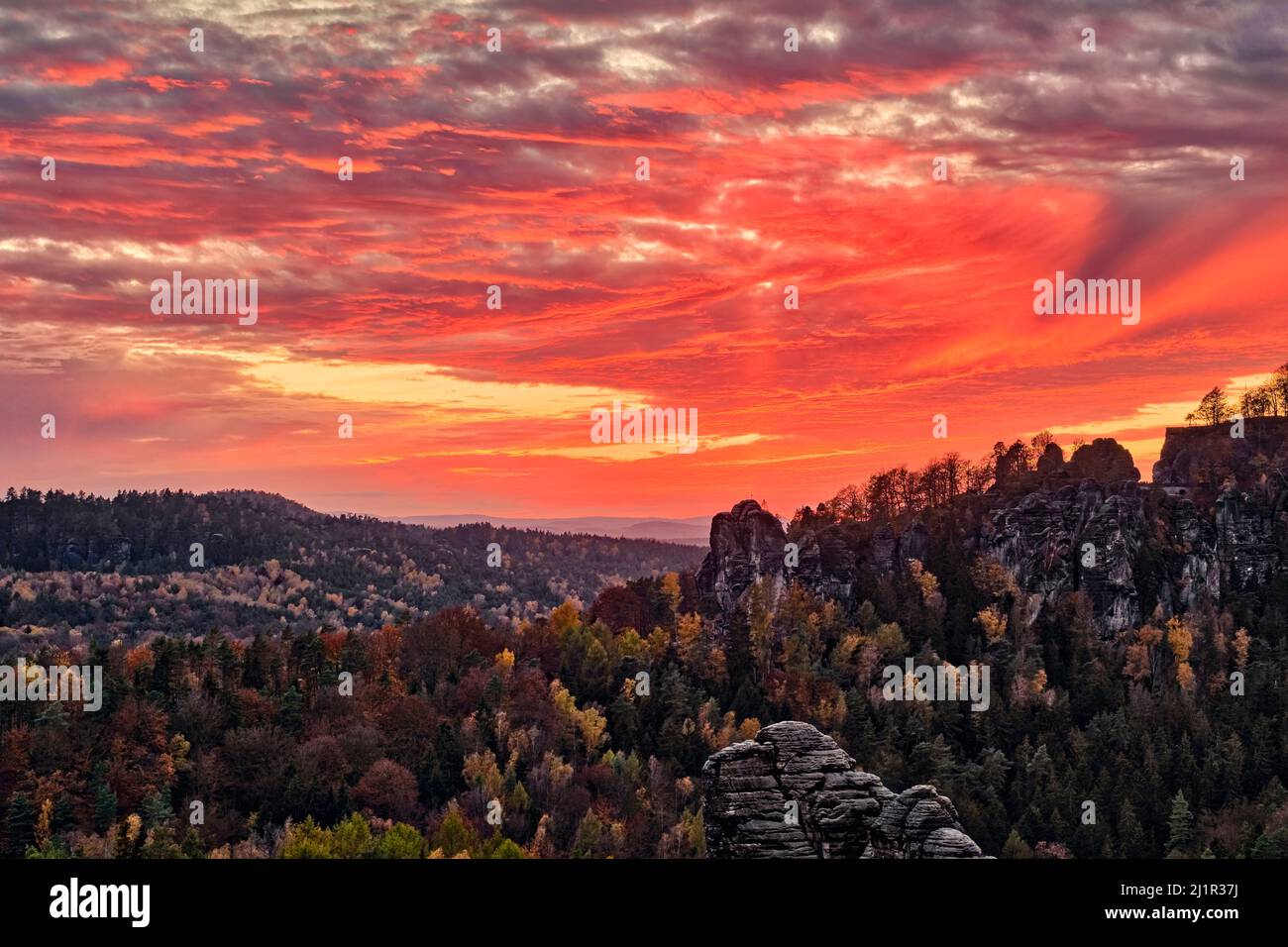 Landschaft mit Felsformationen und bunten Bäumen im Rathen-Gebiet des Nationalparks Sächsische Schweiz im Herbst bei Sonnenuntergang. Stockfoto