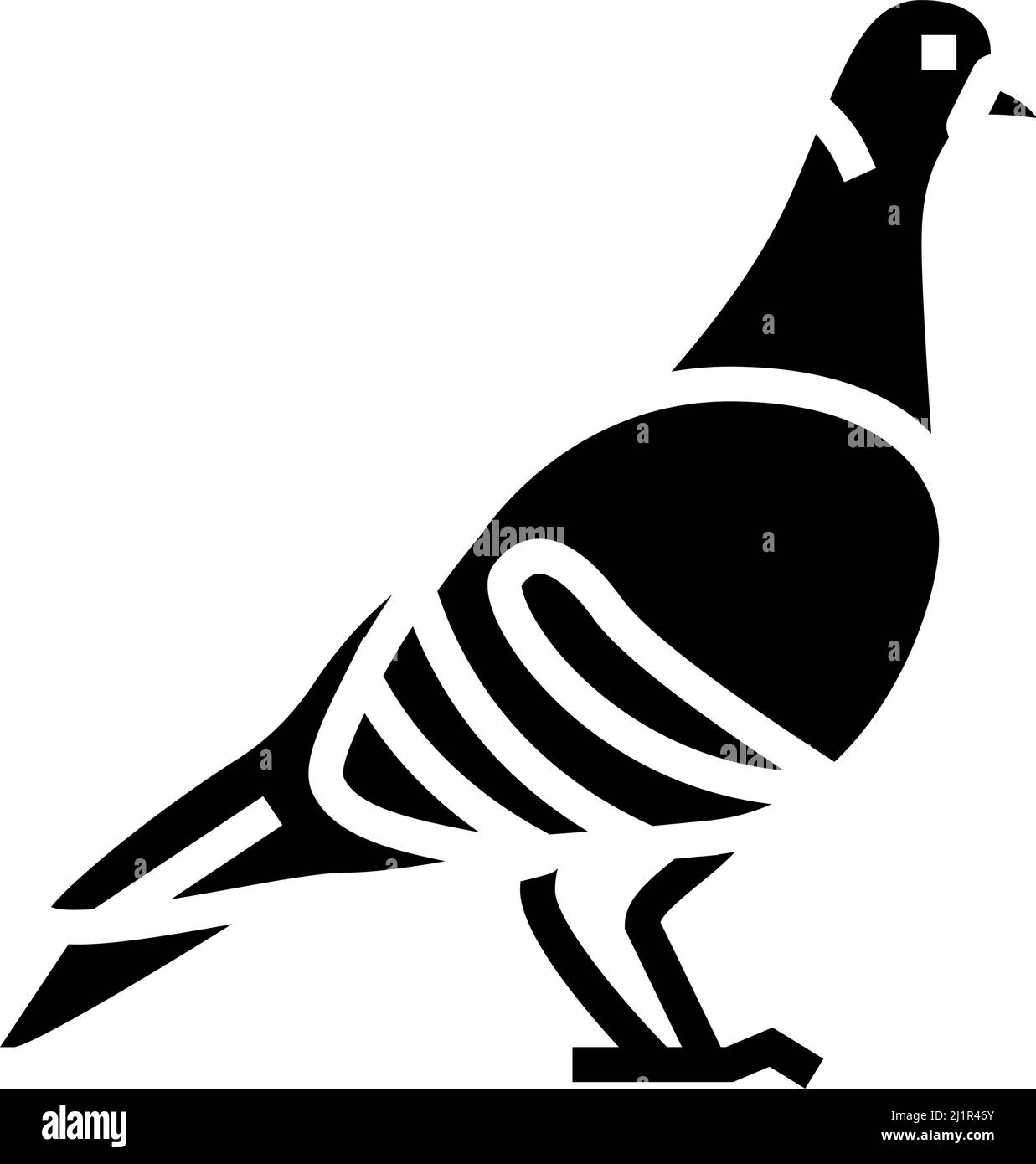 Pigeon Bird Glyphe Symbol Vektor Illustration Stock Vektor