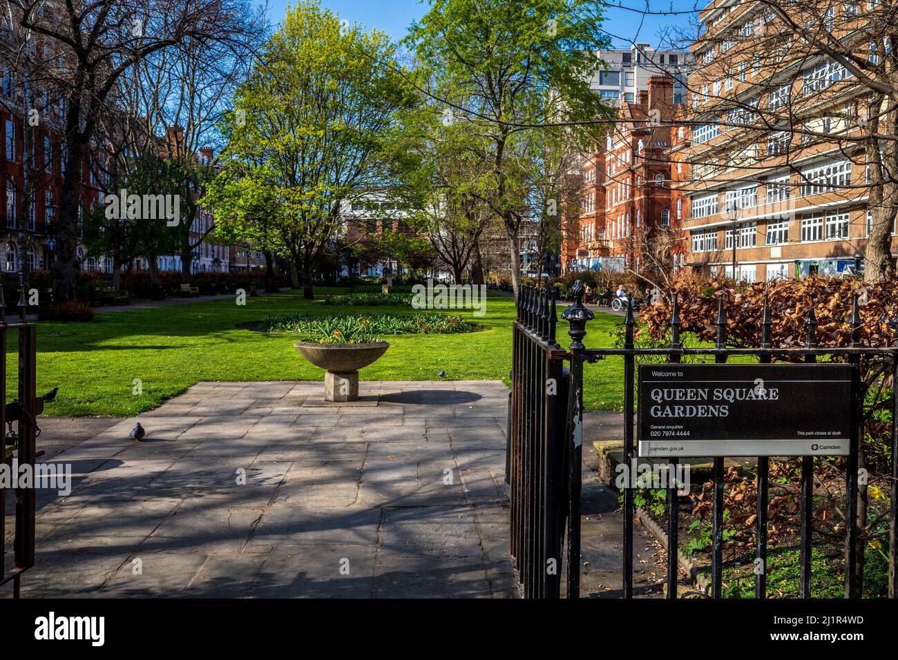 Queen Square in Bloomsbury, London. Viele der Gebäude rund um den Platz sind mit Medizin verbunden. Ursprünglich 1716 bis 1725 gebaut. Stockfoto