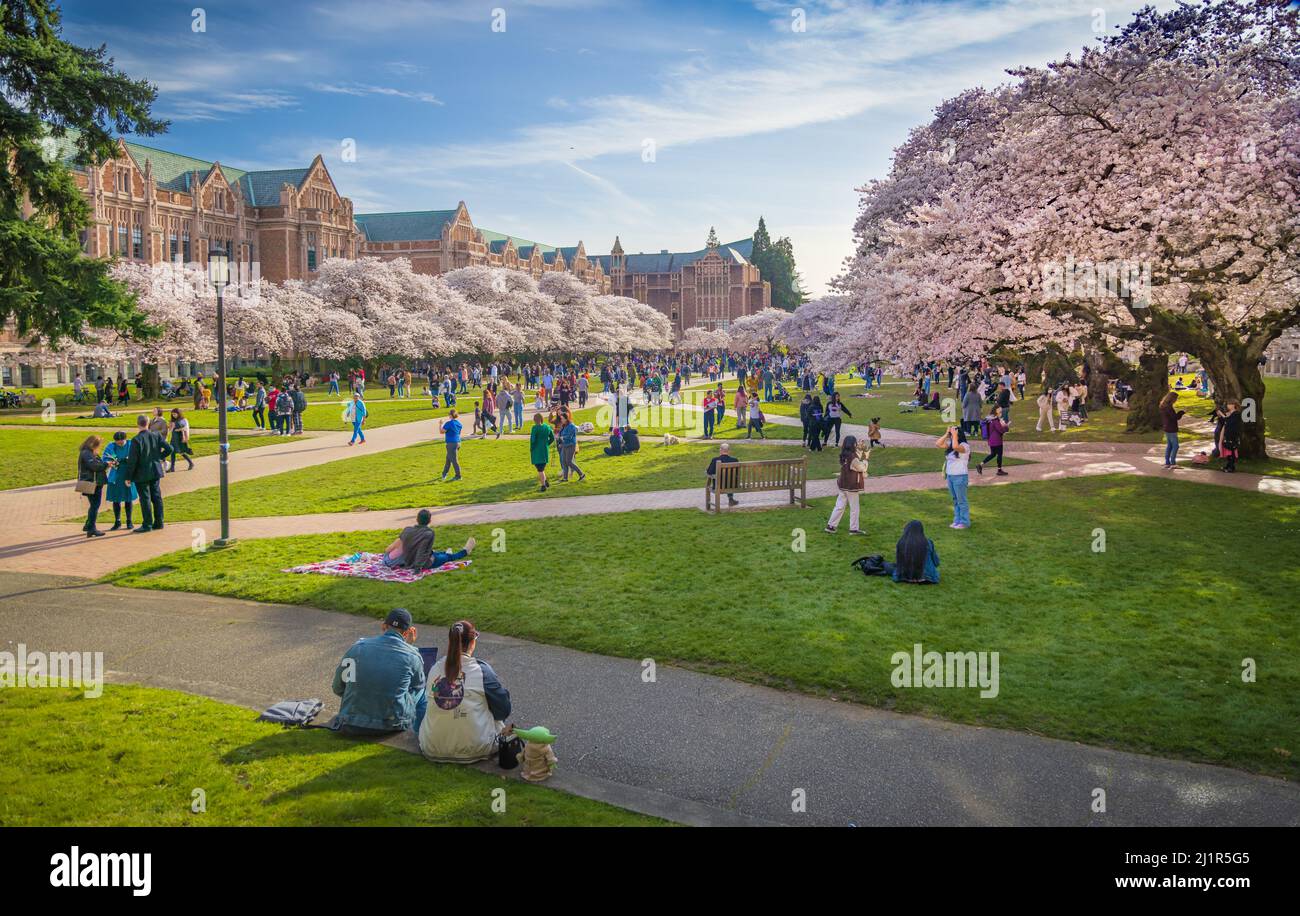 Die University of Washington (allgemein als Washington oder UDub bezeichnet) ist eine öffentliche Forschungsuniversität in Seattle, Washington, USA. Gefunden Stockfoto