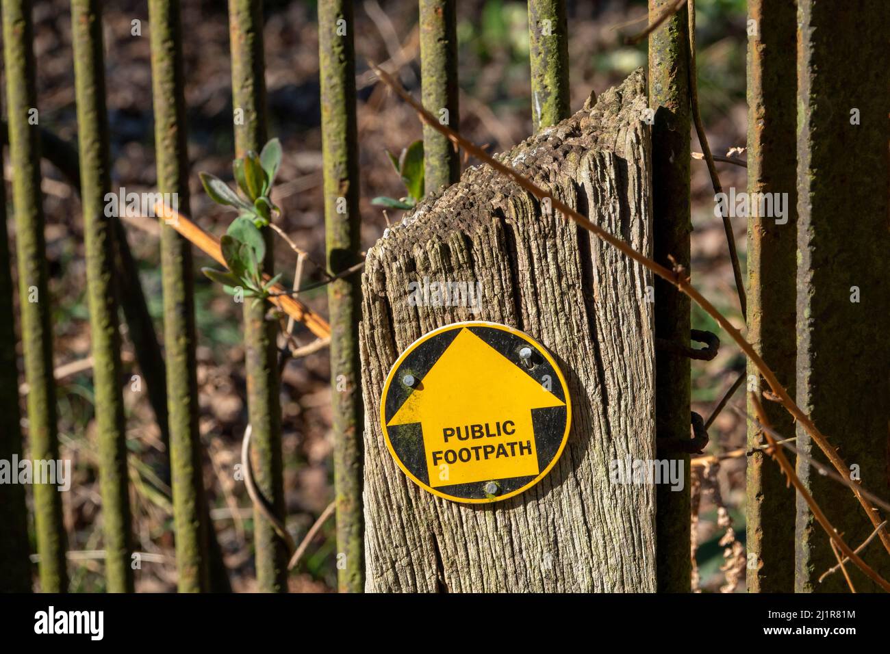 Ein Pfeil Scheibe öffentlichen Fußweg Schild gelb auf schwarz zeigt geradeaus auf einen Holzpfosten mit schweren Metallstangen im Hintergrund Stockfoto