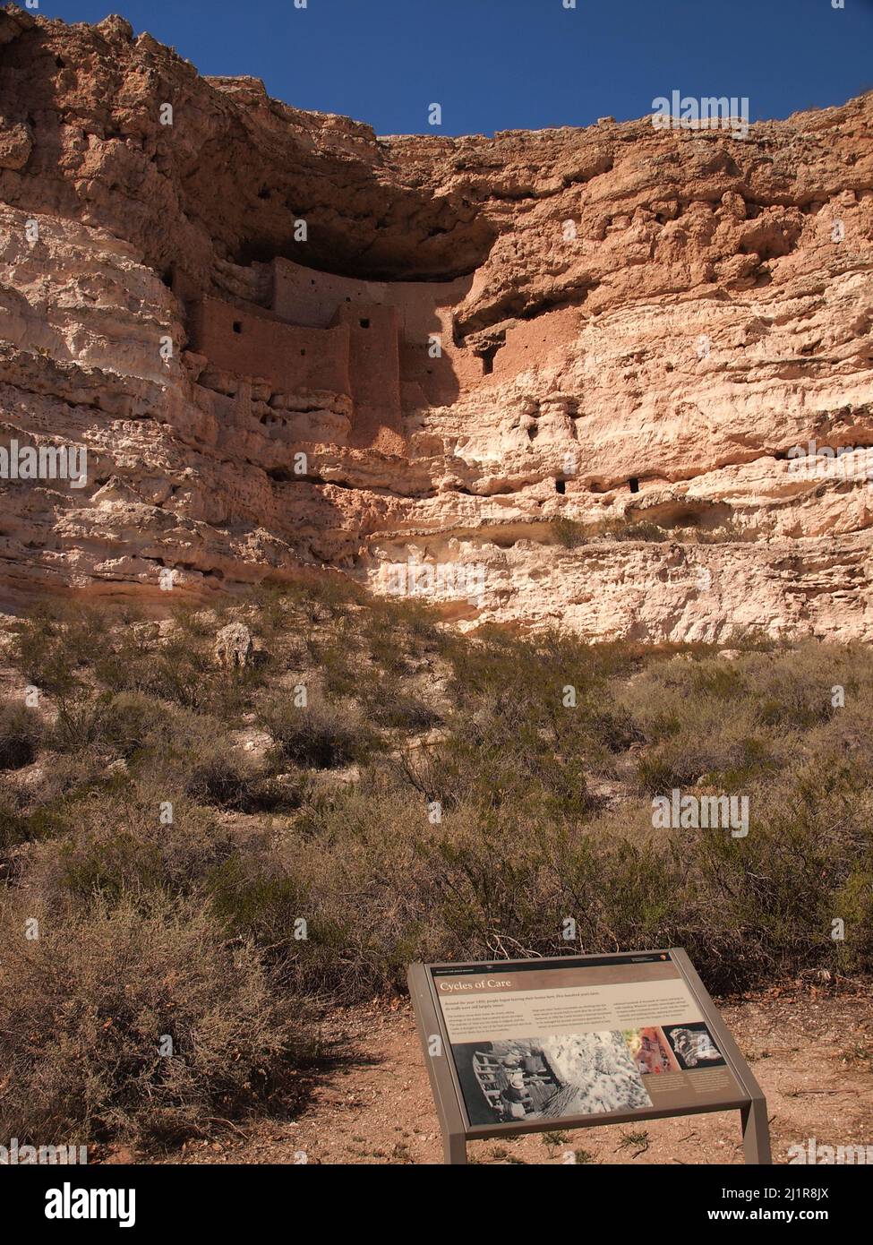 Montezuma Castle National Monument in Camp Verde, Arizona. Die fast 800 Jahre alten Einwohner waren Sinagua-Menschen, die mit Hohokam verwandt waren. Stockfoto