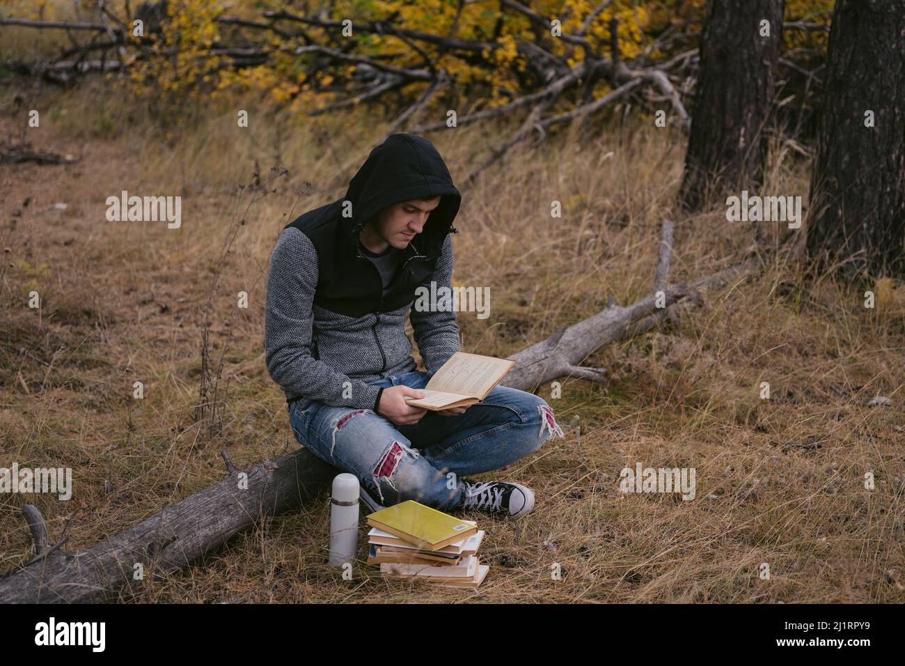 Ein junger, gutaussehender Mann in lässiger Kleidung sitzt auf einem Holzbuch und liest im Herbstwald ein Buch Stockfoto