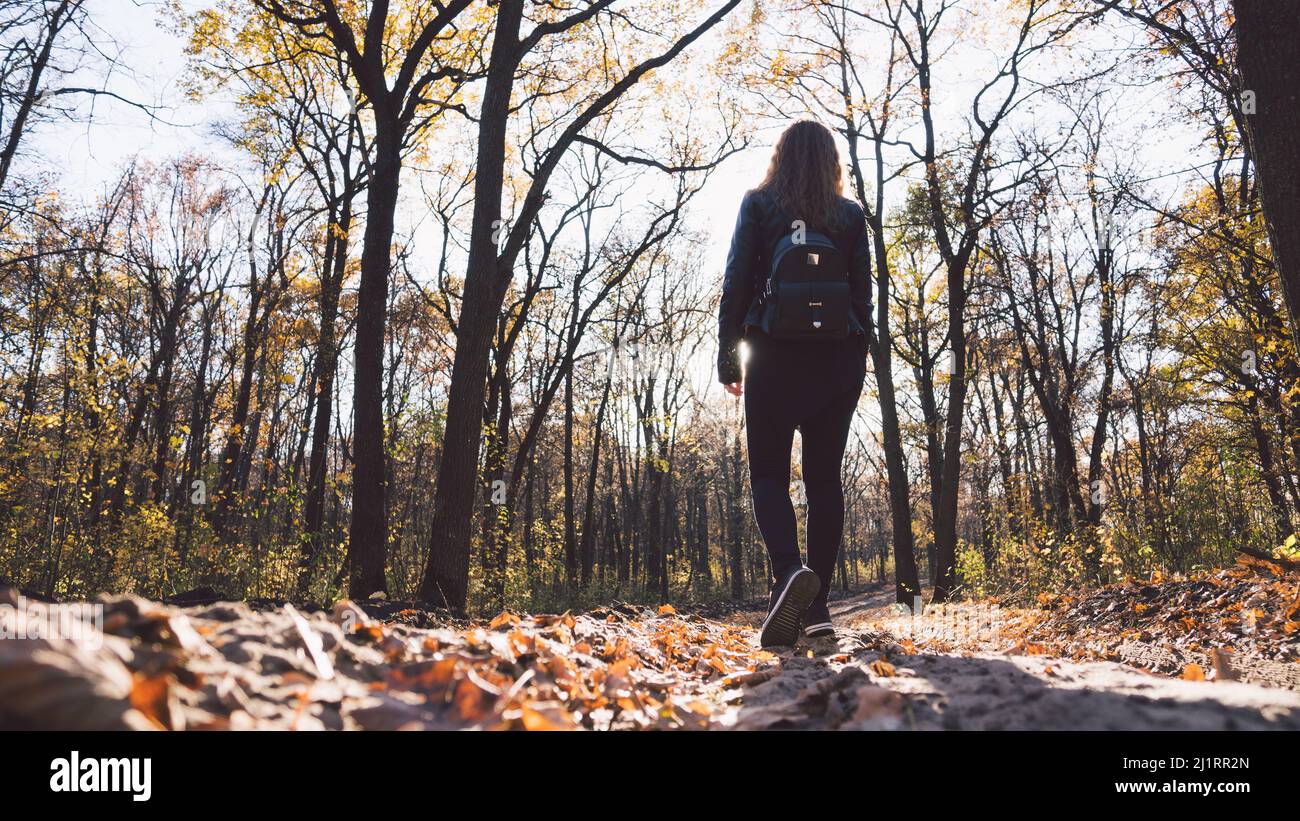 Rückansicht eines jungen Weibchens mit Wanderwegen in einem ruhigen Herbstpark Stockfoto