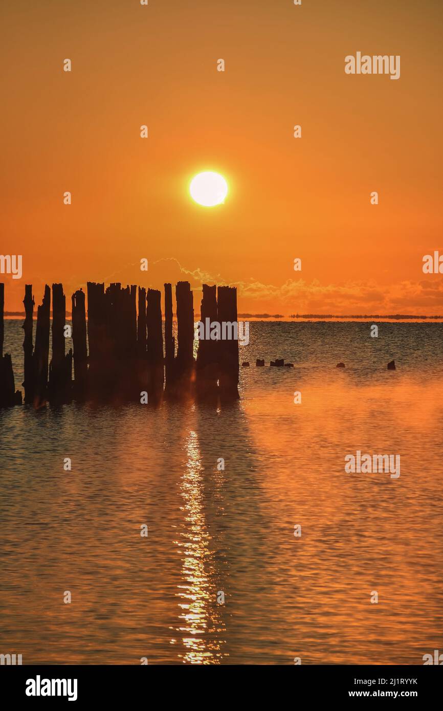 Wunderschöne Aussicht auf das Meer am Morgen. Holzballen an der polnischen Küste mit der Morgensonne im Hintergrund. Stockfoto