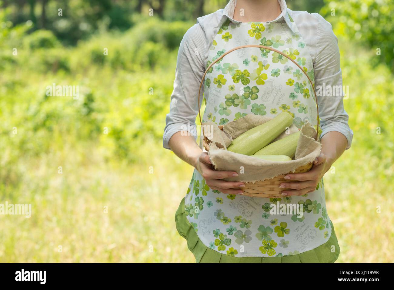 Eine Frau mit einer Zucchini im Korb, auf einem Bauernhof oder einem Gemüsegarten. Das Konzept der Ernte oder der Verkauf von Gemüse. Mit einem freien Platz für w Stockfoto
