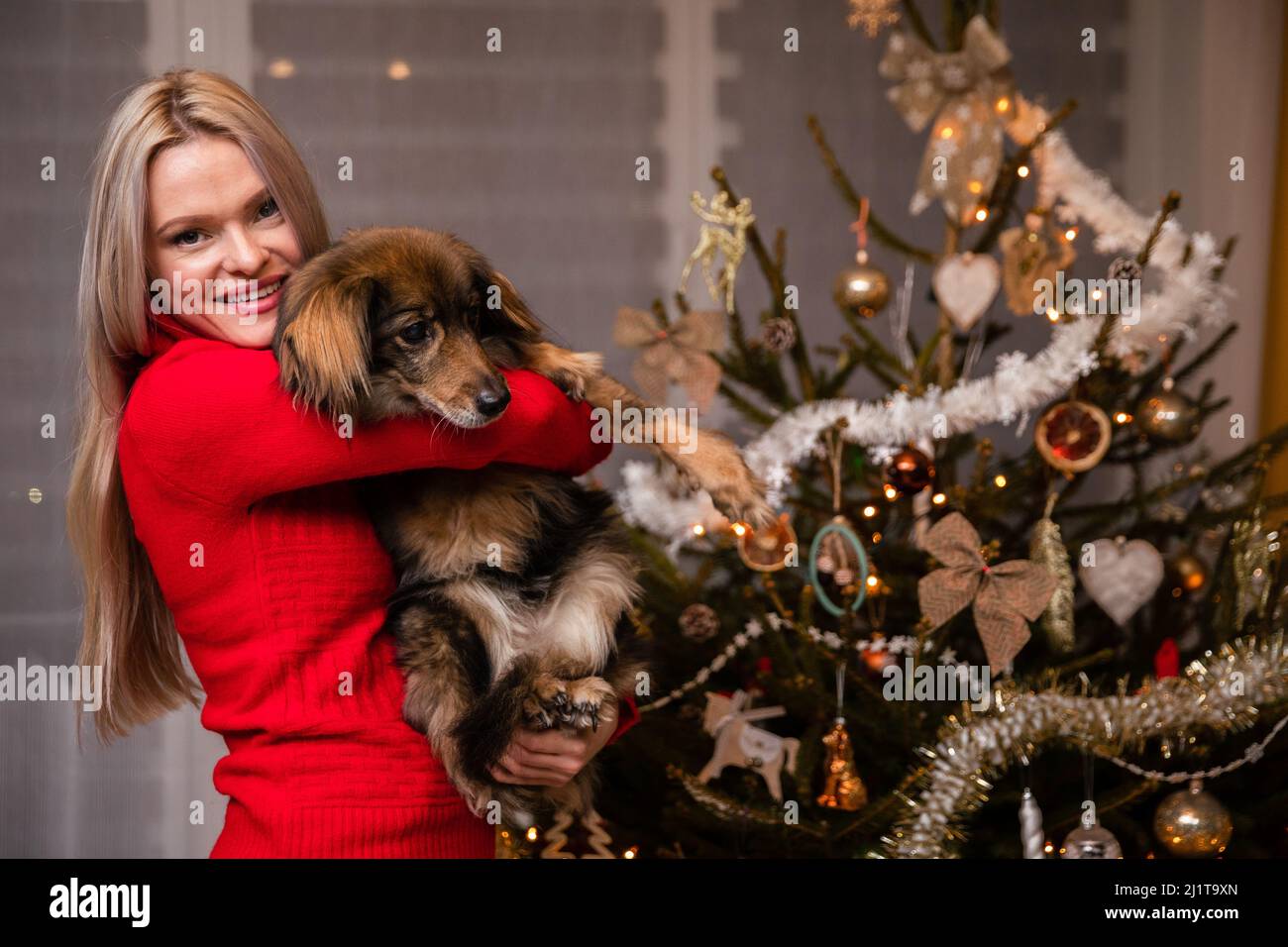 Eine Frau hält einen Hund in den Armen und steht vor einem Weihnachtsbaum. Stockfoto