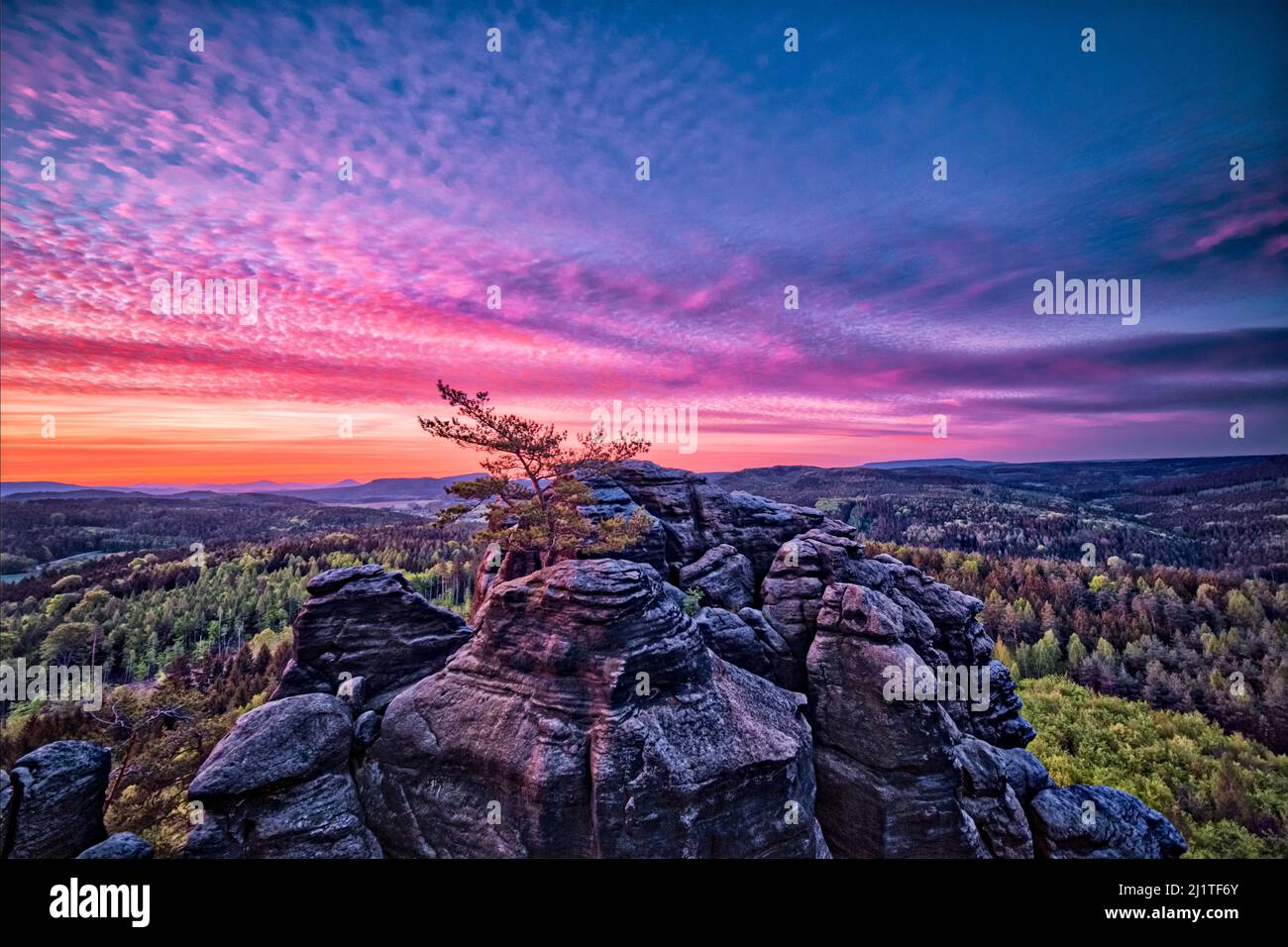 Landschaft mit Felsformationen im Pfaffenstein-Gebiet des Nationalparks Sächsische Schweiz bei Sonnenaufgang. Stockfoto