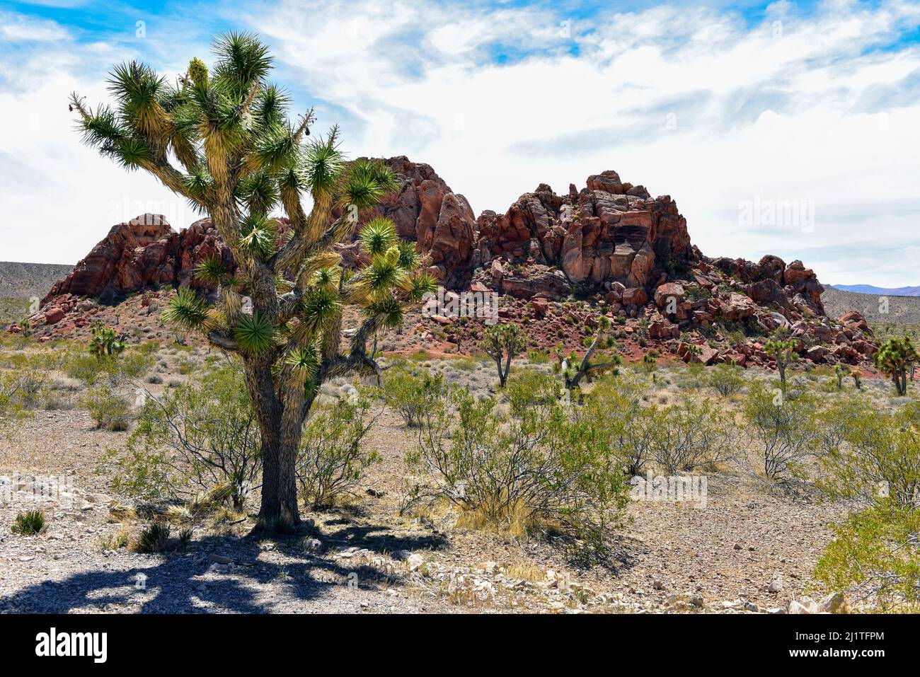 Gold Butte Nevada Landschaft Stockfoto