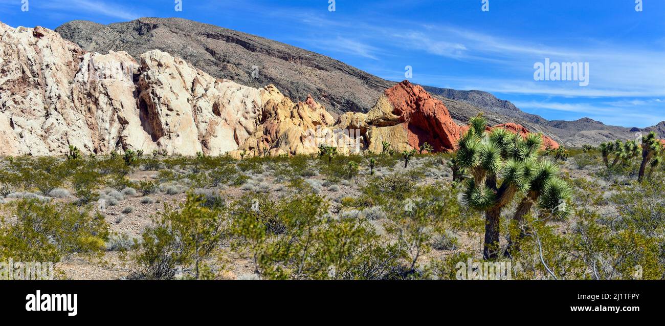 Gold Butte Nevada Landschaft Stockfoto