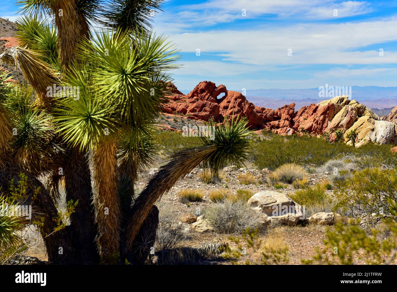 Gold Butte Nevada Landschaft Stockfoto