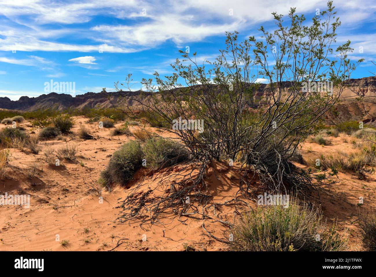 Gold Butte, Little Finland, Nevada Landscape Stockfoto