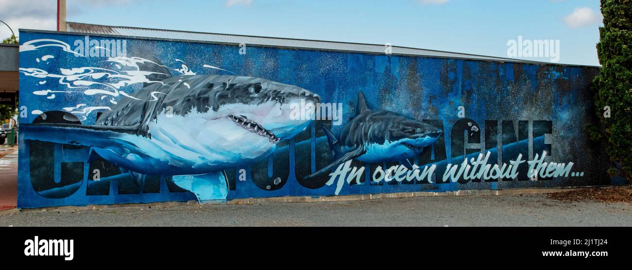 Haie Street Art, Tumby Bay, South Australia, Australien Stockfoto