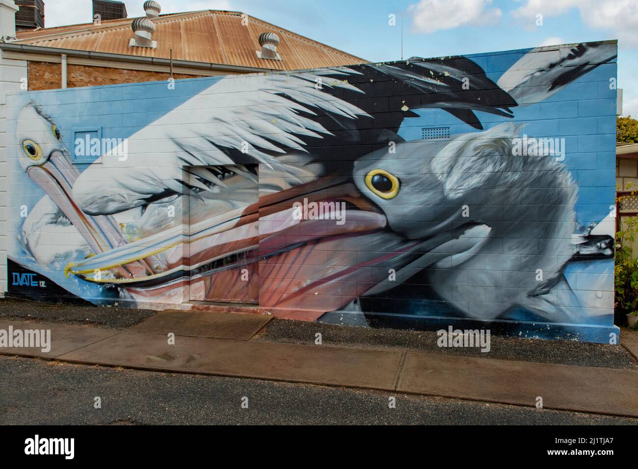 Pelicans Street Art, Tumby Bay, South Australia, Australien Stockfoto