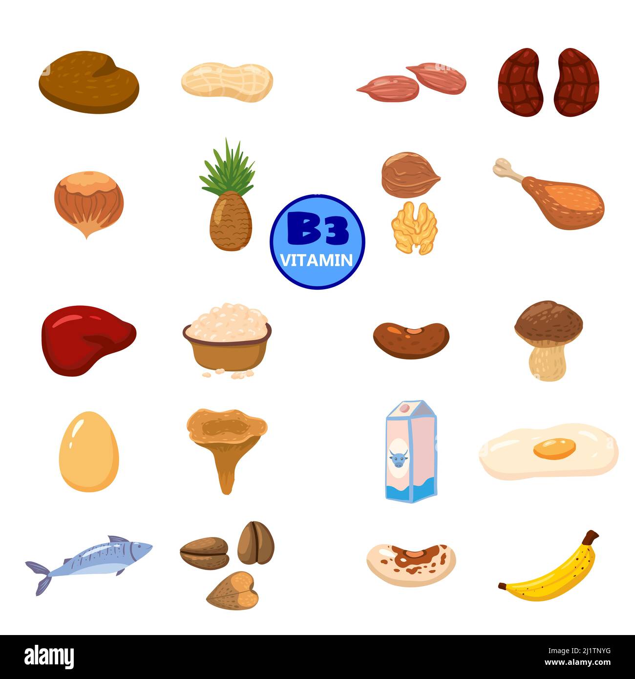 Set von Vitamin B3 Herkunft natürlichen Quellen. Gesundes Tagebuch reiches Essen mit Niacin, Avocado, Pilzen, Nüssen, Fisch, Leber, Banane, Nieren. Organisch Stock Vektor