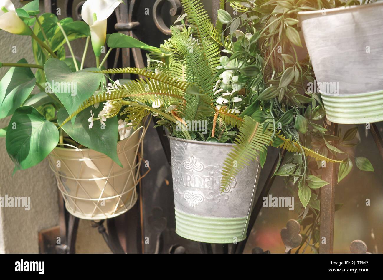 Drei Blumen in Töpfen auf dem Balkon Gartenzeit Stockfoto