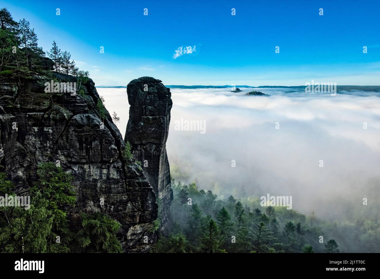 Nebelbedeckte Landschaft mit Felsformationen und der Gipfel Teufelsturm im Schmilka-Gebiet des Nationalparks Sächsische Schweiz bei Sonnenaufgang. Stockfoto