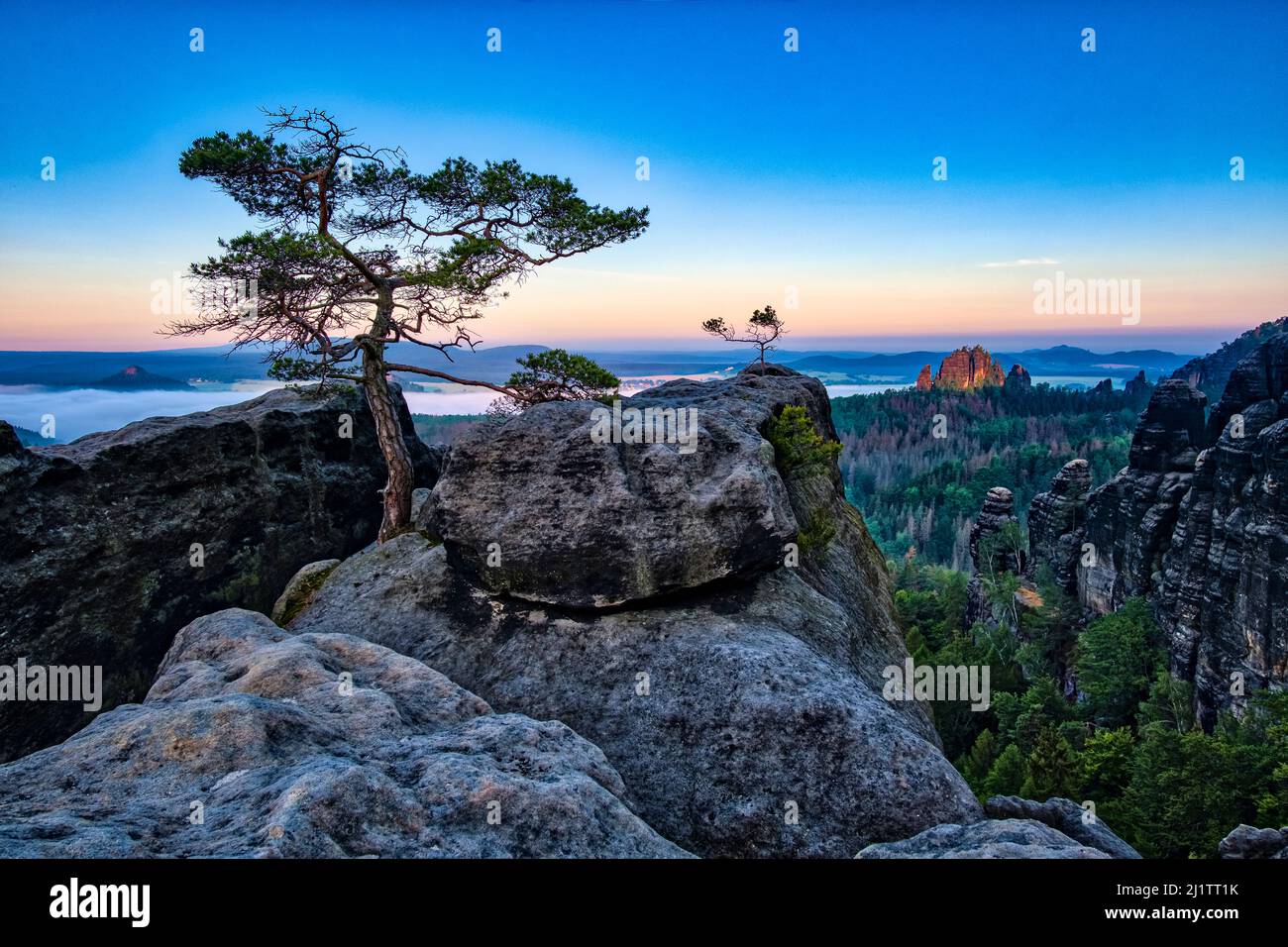 Landschaft mit Felsformationen und dem Gipfel Rauschenstein im Schmilka-Gebiet des Nationalparks Sächsische Schweiz bei Sonnenaufgang. Stockfoto