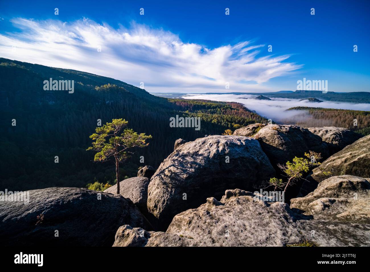 Landschaft mit Felsformationen und dem nebelbedeckten Elbtal im Schmilka-Gebiet des Nationalparks Sächsische Schweiz. Stockfoto