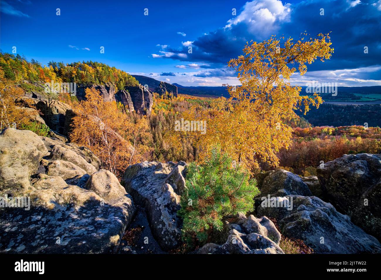 Landschaft mit Felsformationen und bunten Bäumen im Schmilka-Gebiet des Nationalparks Sächsische Schweiz im Herbst. Stockfoto