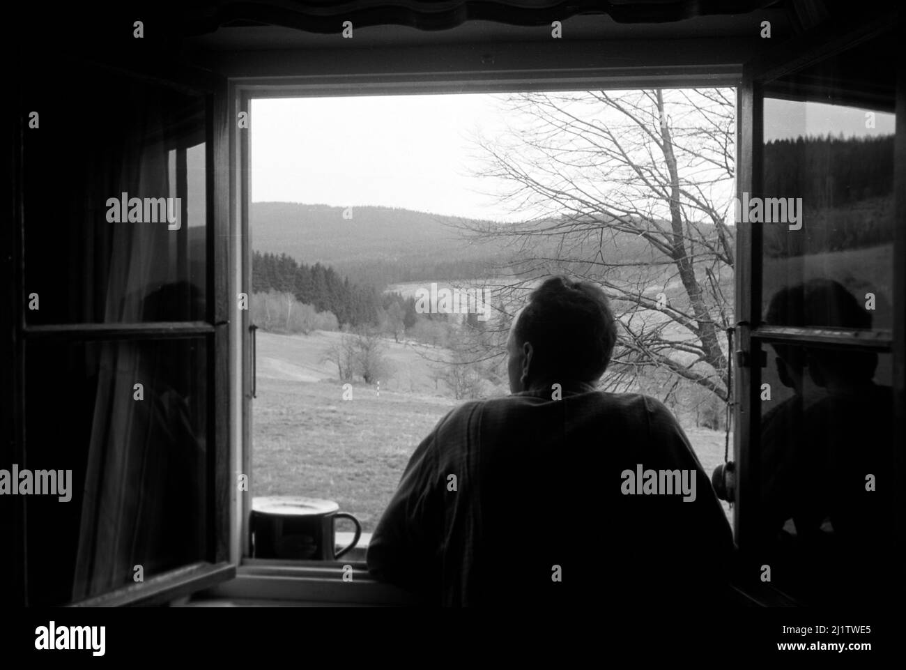 Blick aus dem Fenster auf den Bayerischen Wald im Zwieseler Umland, 1958. Blick auf den Bayerischen Wald aus einem Fenster am Stadtrand von Zwiesel, 1958. Stockfoto